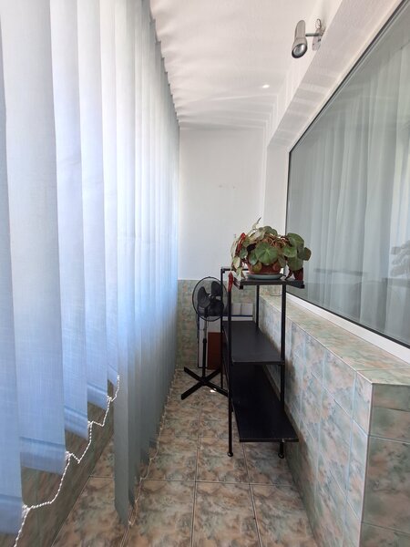 Baba Novac,Campia Libertatii,